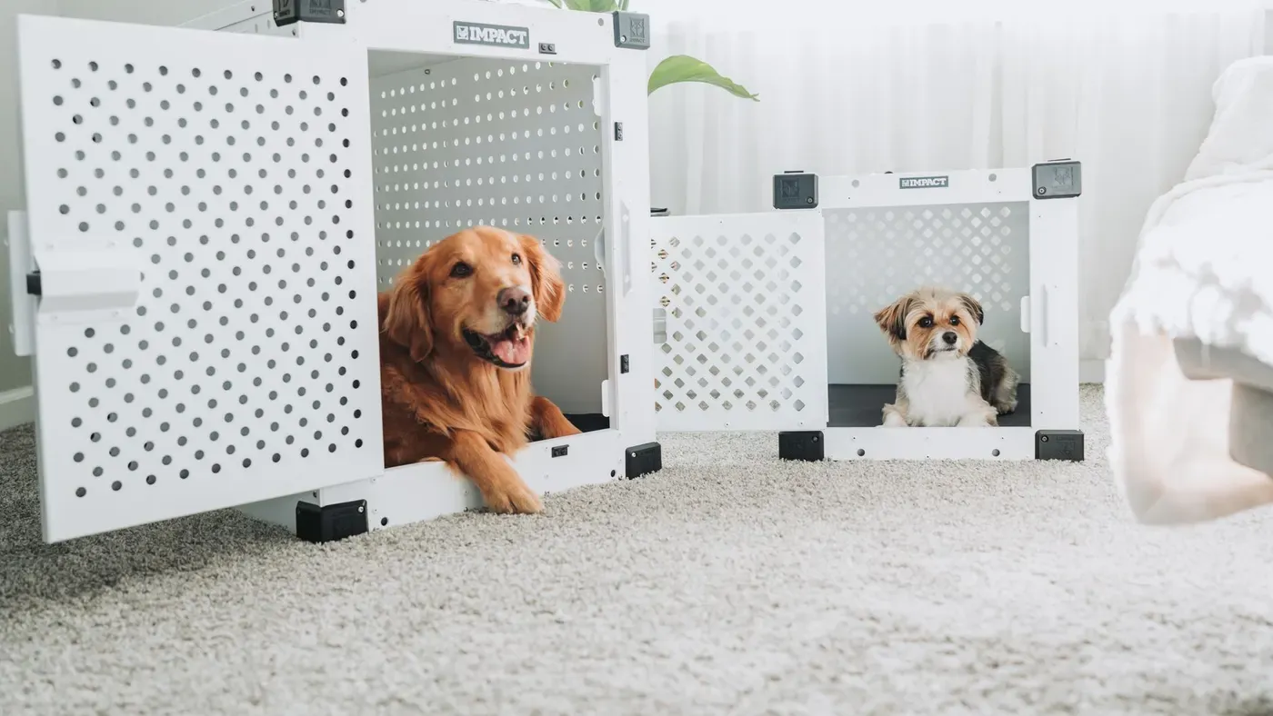 Hundkoja för inomhusbruk i vardagsrum