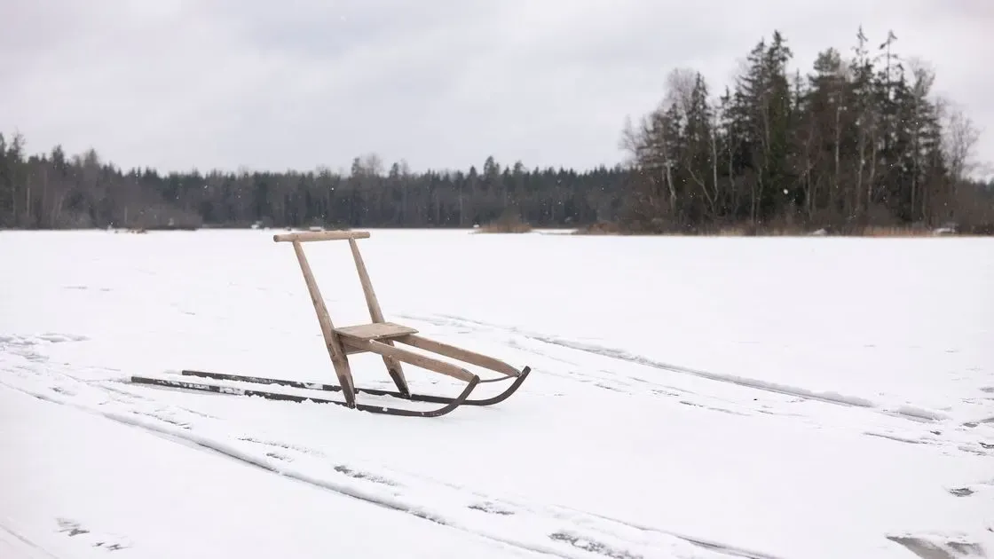 Närbild på kälkens medar