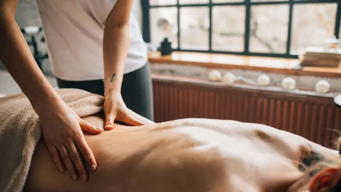 Närbild på massagebänkens stoppade yta